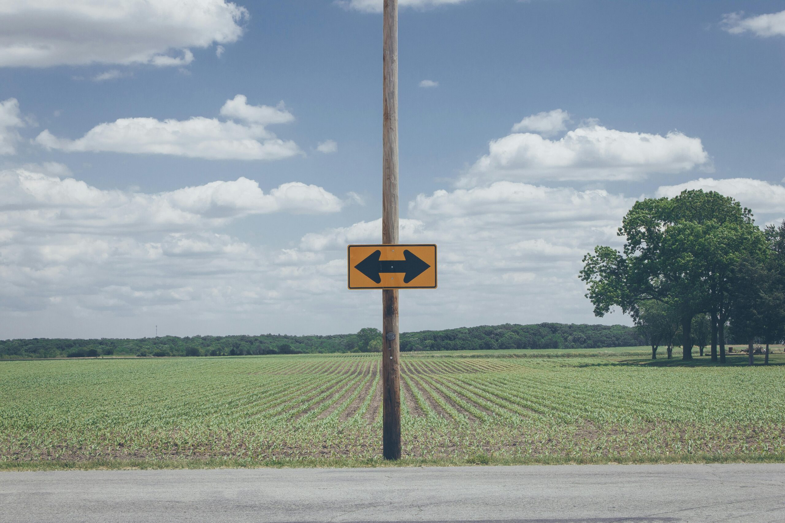 Making the difficult decision if a marketing agency is right for you